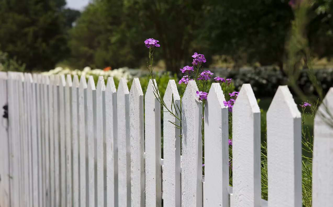 White fence with purple flower