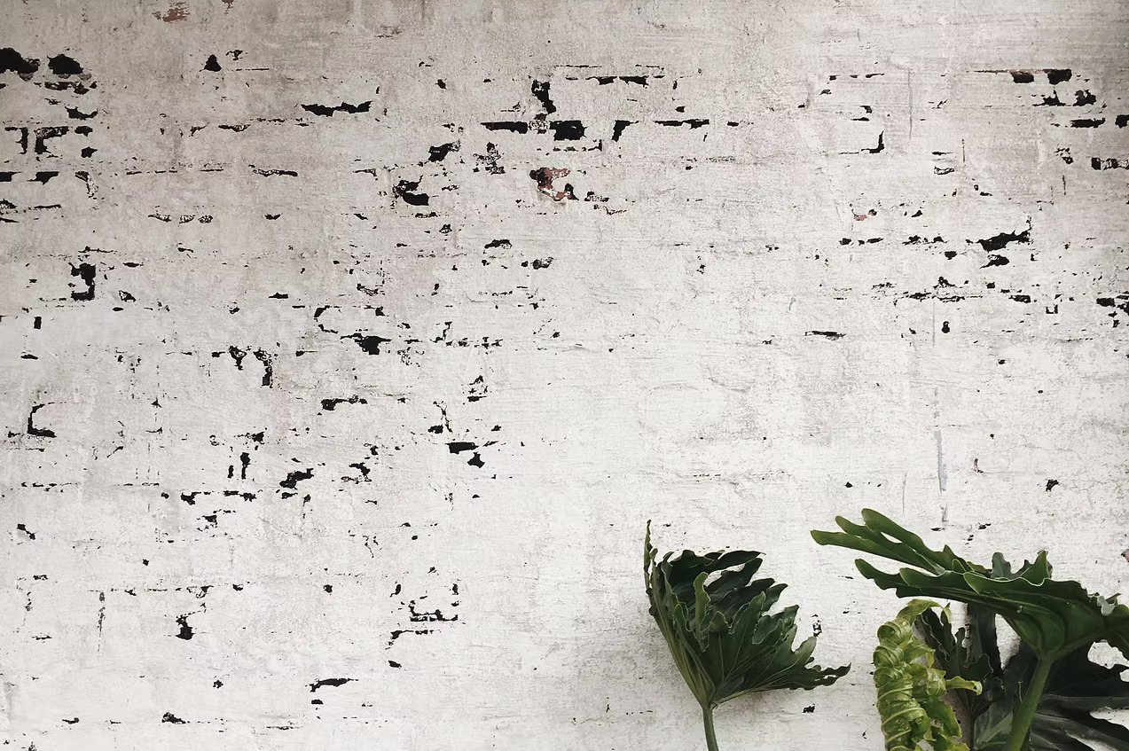 a brick wall painted white